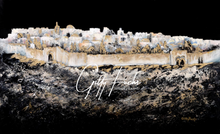 Load image into Gallery viewer, Jerusalem Panorama Black White &amp; Gold
